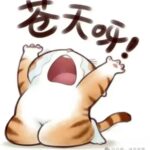 Admin的头像-拾光笔记